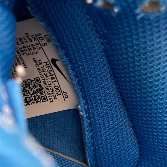 Nike Dunk low retro Vibrant Blue and Gray Detroit Lions colors men 10.5 sneakers - Picture 3 of 8